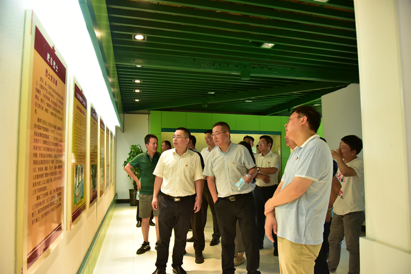 市政分公司黨總支、合肥市重點局直屬黨委第二黨支部聯(lián)合開展主題黨日活動3