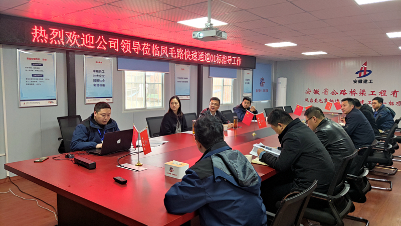公司黨委副書記、工會主席王勝利到鳳毛快速通道01標檢查指導工作