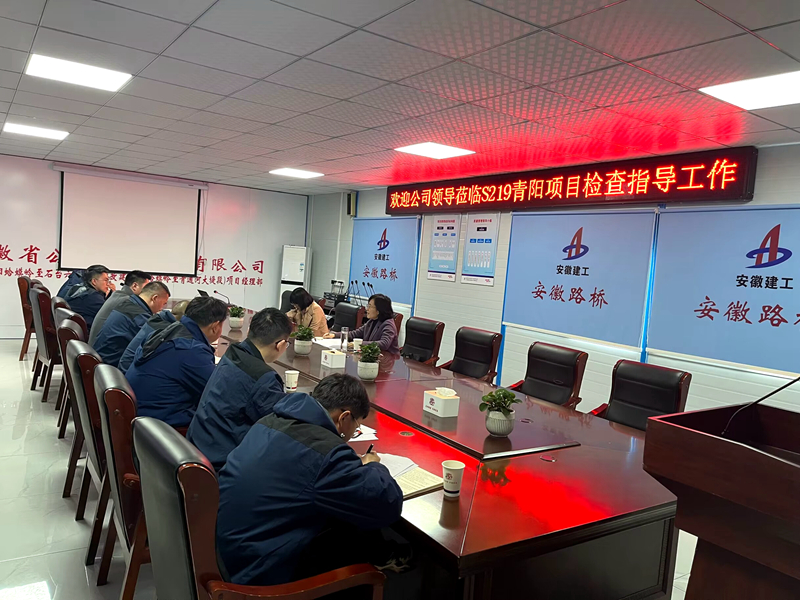 公司黨委委員、紀委書記王鵬到S219青陽改建項目調(diào)研指導工作